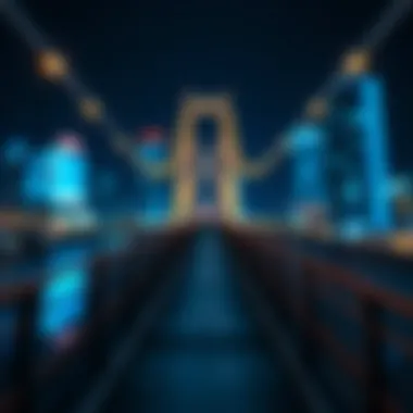 Exploring Digital Bridge Currencies: The Future of Financial Transactions Summary Exploring Digital Bridge Currencies: The Future of Financial Transactions Summary