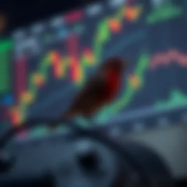 Notable Exploring the Depths of Robinhood Charting Notable Exploring the Depths of Robinhood Charting