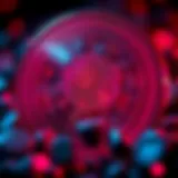 Exploring the Dynamics of Rose Token in Cryptocurrency Introduction